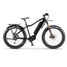 2019 New Arrival 48V 350W Fat Tire Mountain Electric Bike with Middle Motor